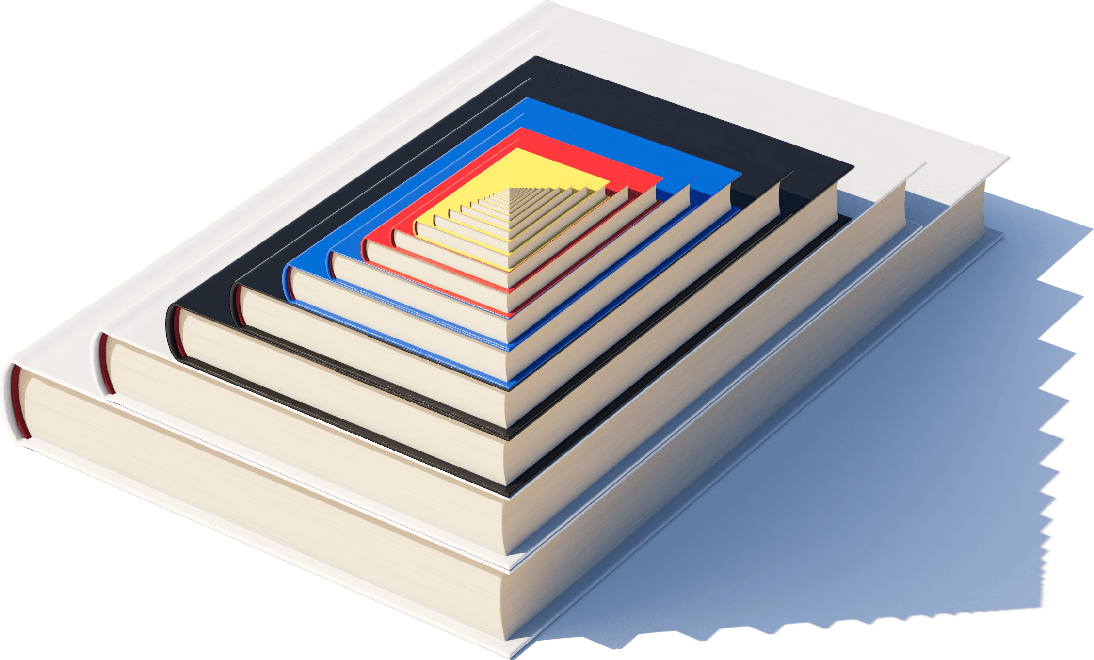 Named a Notable Book by the New York Times