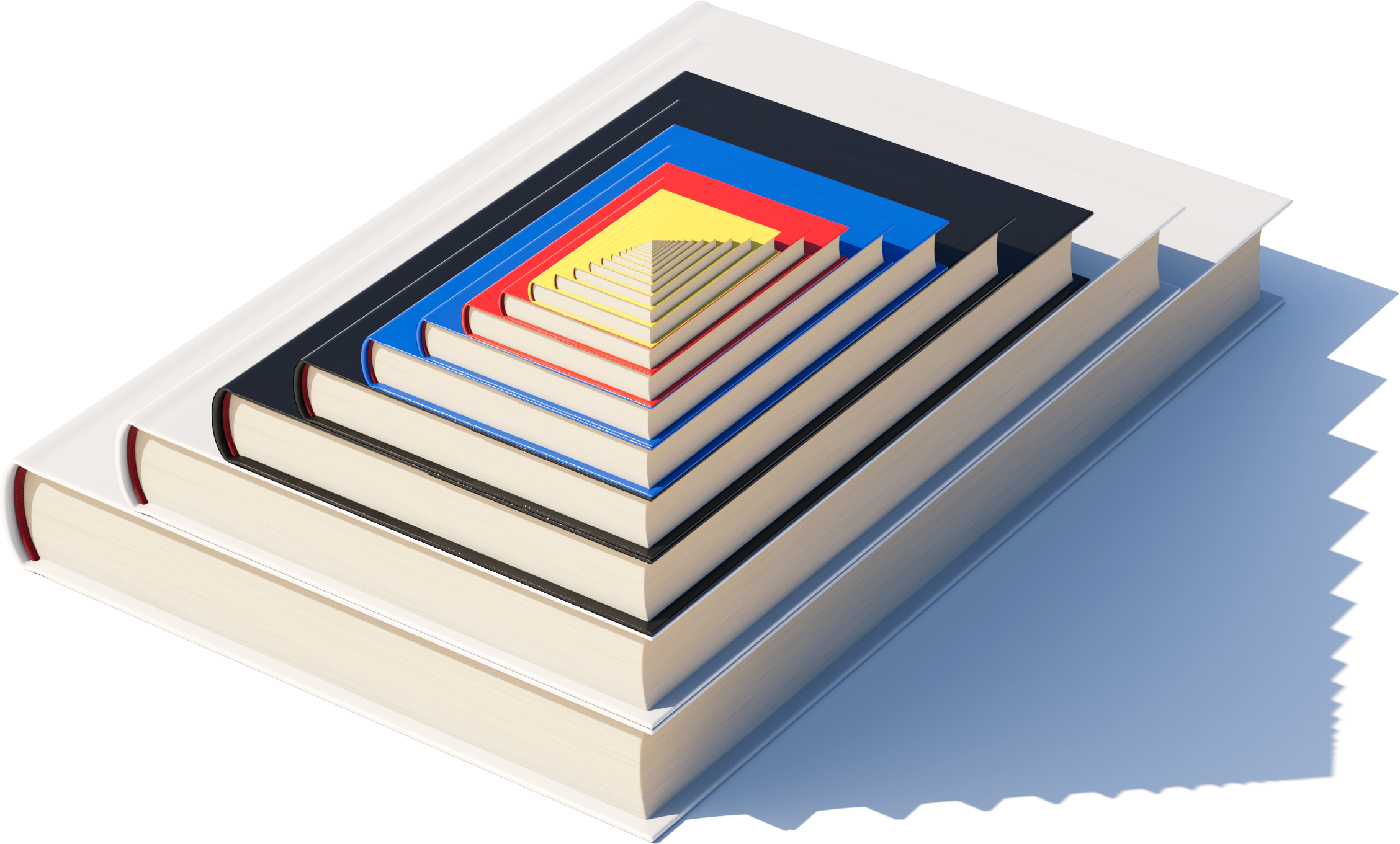 Named a Notable Book by the New York Times