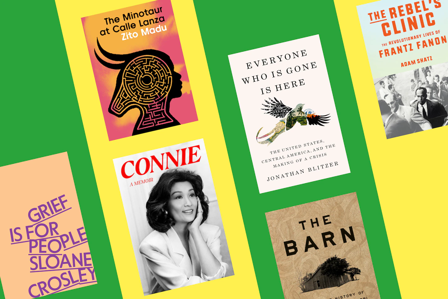 Named a Notable Book by the Washington Post